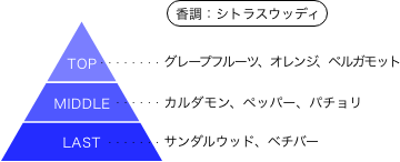 多聞くん今どっち！？ 坂口桜利 香りのピラミッド 香調：シトラスウッディ トップノート：グレープフルーツ、オレンジ、ベルガモット ミドルノート：カルダモン、ペッパー、パチョリ ラストノート：サンダルウッド、ベチバー