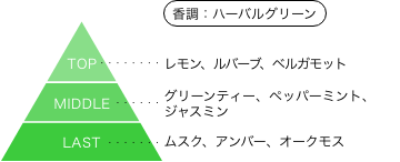 多聞くん今どっち！？ 橘敬人 香りのピラミッド 香調：ハーバルグリーン トップノート：レモン、ルバーブ、ベルガモット ミドルノート：グリーンティー、ペパーミント、ジャスミン ラストノート：ムスク、アンバー、オークモス