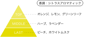 多聞くん今どっち！？ 石橋ナツキ 香りのピラミッド 香調：シトラスアロマティック トップノート：オレンジ、レモン、グリーンリーフ ミドルノート：ハーブ、ラベンダー ラストノート：ピーチ、ホワイトムスク