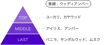 多聞くん今どっち！？ 甲斐倫太郎 香りのピラミッド 香調：ウッディアンバー トップノート：ユーカリ、カヤウッド ミドルノート：アイリス、アンバー ラストノート：バニラ、サンダルウッド、ムスク